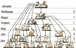 Фибоначијеви зечеви