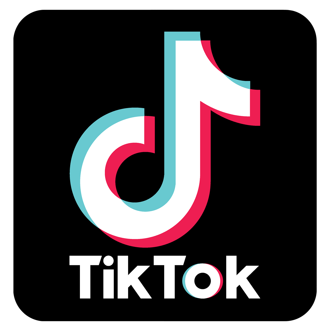 TikTok Exotic Airlines